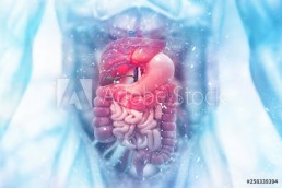 Gastrointestinal Bleeding