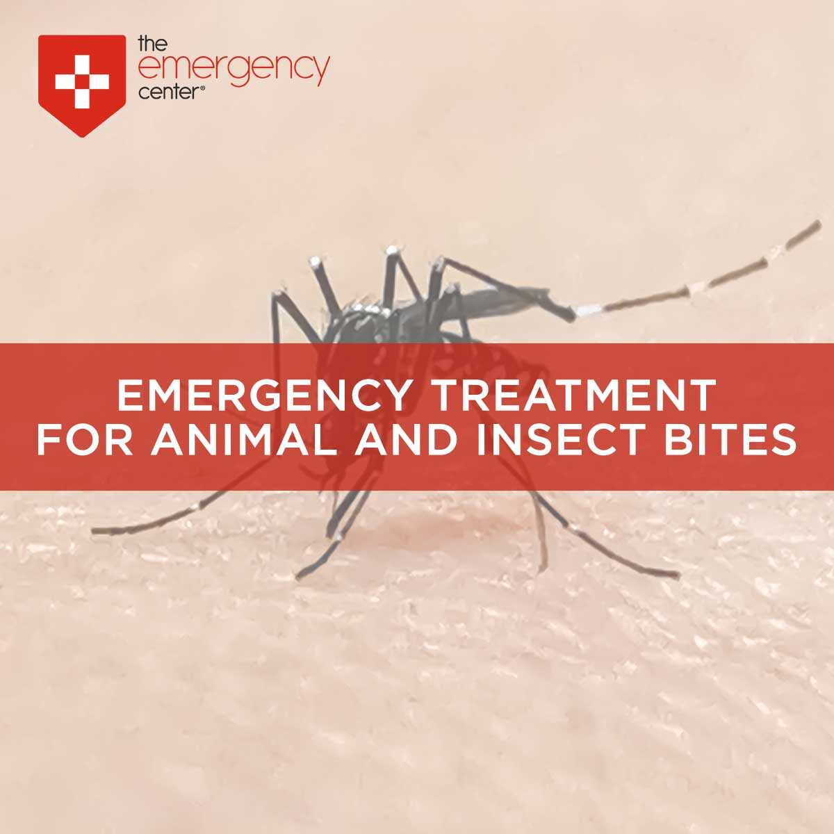 Emergency Animal & Insect Bites | The Emergency Center, San Antonio Emergency Animal & Insect Bites | The Emergency Center, San Antonio